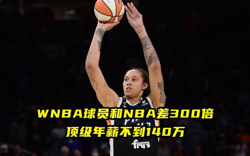 他们将不仅